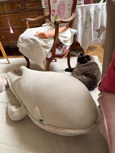 Customer photo review of The Giant Whale