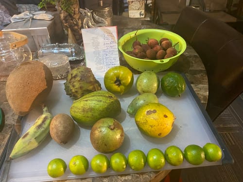 Customer photo review of Tropical Variety Box