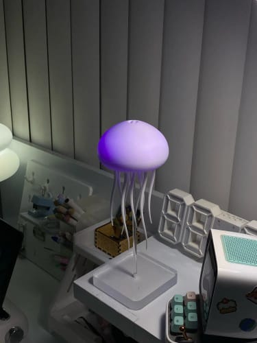 Customer photo review of Jellyfish Cartoon Nihgt Light RGB Voice Control Jellyfish Bedside Lamp Type-C LED Night Lamp Upgraded Bluetooth Humidifier Model