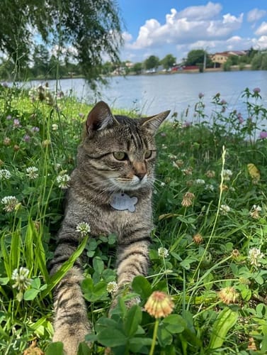 Customer photo review of Patsli Belly