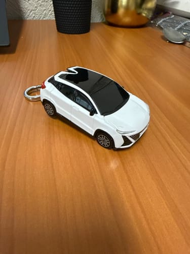 Customer photo review of BlazeGuard Key