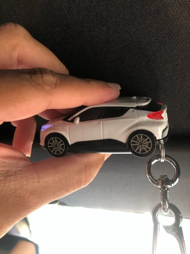 Customer photo review of BlazeGuard Key