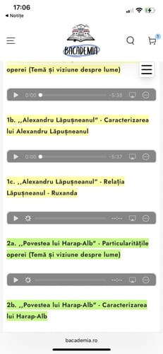 Recenzie cu fotografie de la un client despre Audiobook – Eseuri Audio BAC Română (temă și viziune, caracterizare, relație) + Quiz-uri