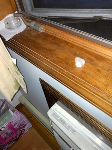 Customer photo review of VIP Crystal Club ~ Monthly Crystal