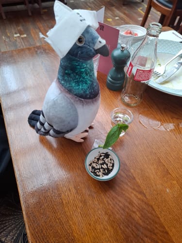 Customer photo review of Lifelike Pigeon Bird Soft Stuffed Plush Toy