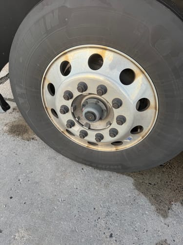 Customer photo review of Absolute Acid