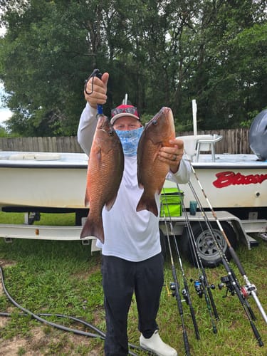 Customer photo review of THE REEF (curved)