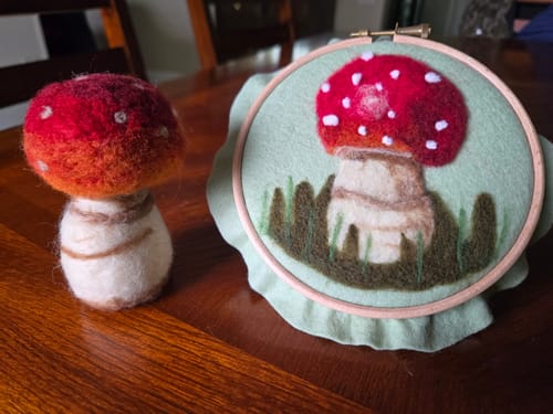 Customer photo review of Sophie Wheatley's Felted Fungi Supplies Box