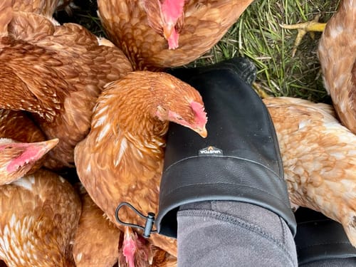 Customer photo review of Vaistoa Katve 2 -paljasjalkakumisaappaat