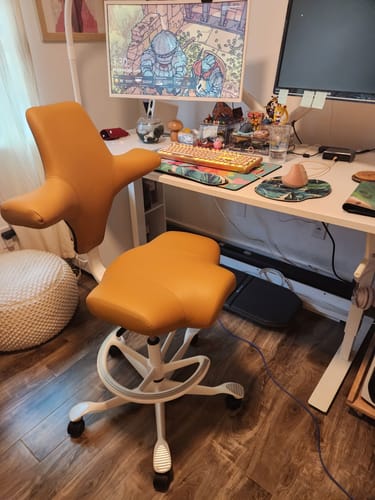 Customer photo review of Capisco Saddle
