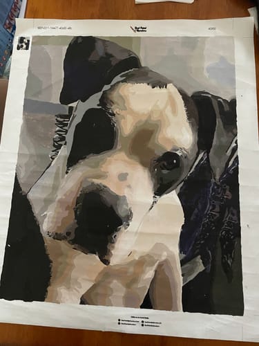 Customer photo review of CUSTOM PAINT BY NUMBER KIT