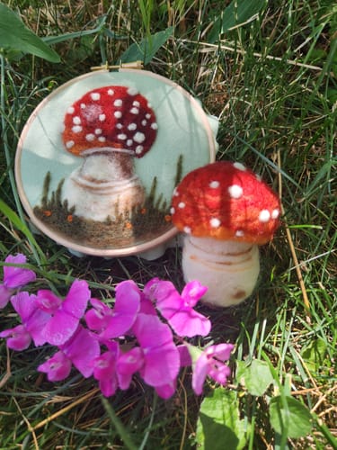 Hillary O. review of Sophie Wheatley's Felted Fungi Supplies Box image 1 out of 1