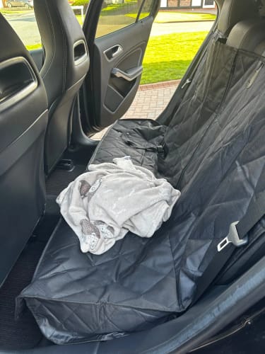 Customer photo review of EpicGuard™ Pet Seat Shield
