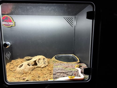 Customer photo review of BlackBox LED with Dimmer Switch - KIT