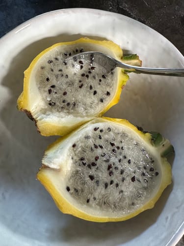 Customer photo review of Yellow Dragon Fruit