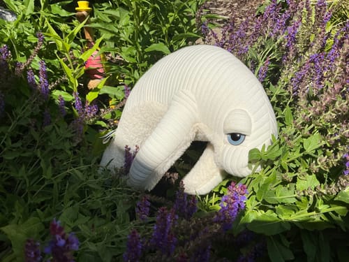 Customer photo review of The Manatee