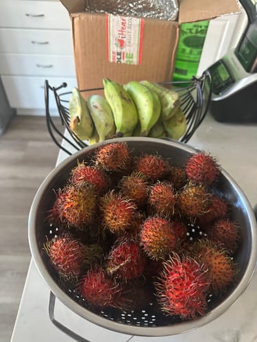 Customer photo review of Banana Sampler