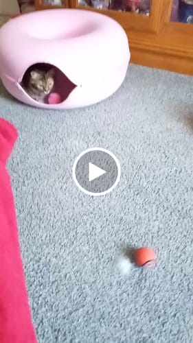 undefined review of PRIORITY PROCESSING image 1 out of 1