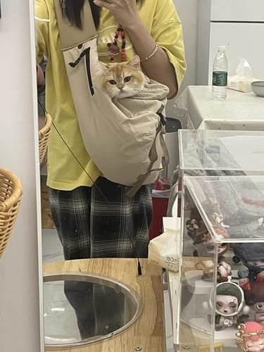 Customer photo review of Wide-Strap Cradle-Style Structured Pet Sling Carrier Bag
