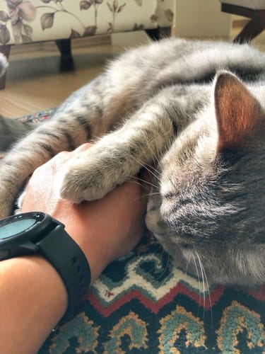 Customer photo review of Patsli Move