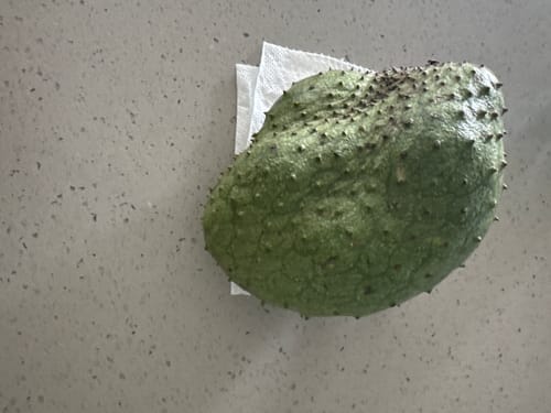 Customer photo review of Soursop