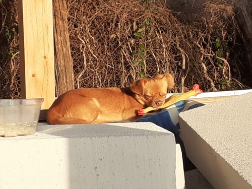 Customer photo review of Summer Comfortable Light-weight Slingback Sandals