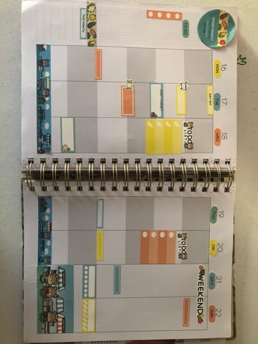 Customer photo review of Ultimate Subscription