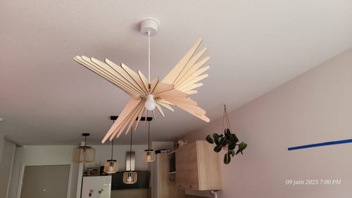 Customer photo review of Copy of Albatros | Suspension