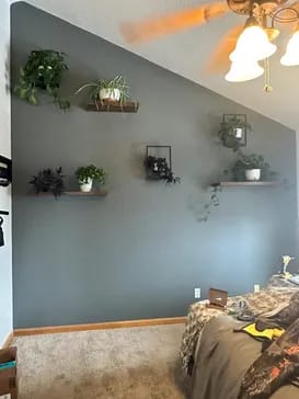 Customer photo review of Planty®