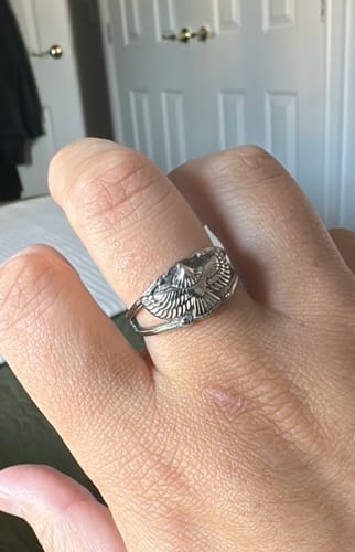 Customer photo review of Free As Bird.