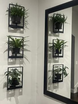 Customer photo review of Planty®