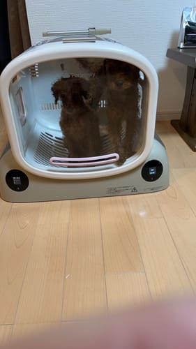 Customer photo review of ペットドライヤーハウス