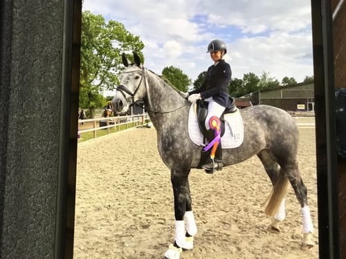 Customer photo review of Strotonin Horse Support