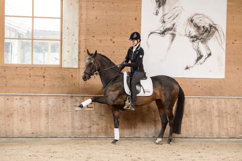 Customer photo review of Kristallkraft Mental Balance