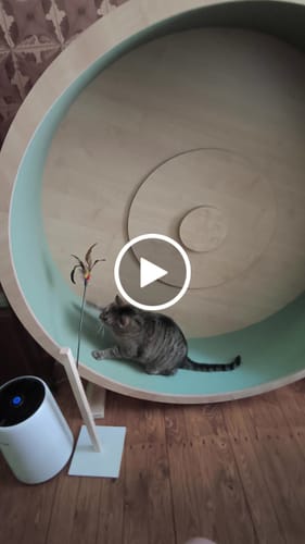 Franziska F. review of Elmato Katzenlaufrad Simba image 1 out of 1