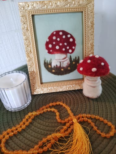 Angela D. review of Sophie Wheatley's Felted Fungi Supplies Box image 1 out of 1