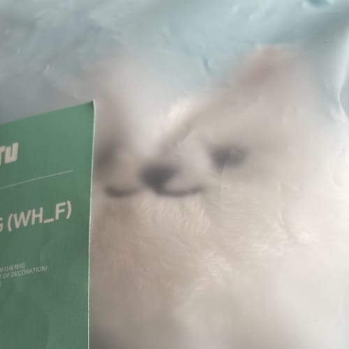 Customer photo review of TXT - FINDING MOA PPULBATU WEVERSE OFFLINE GIFT OFFICIAL MD PLUSH KEYRING