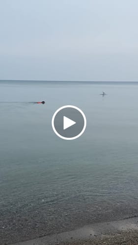 Customer video review of Non-Stop Dogwear Protector Life Jacket
