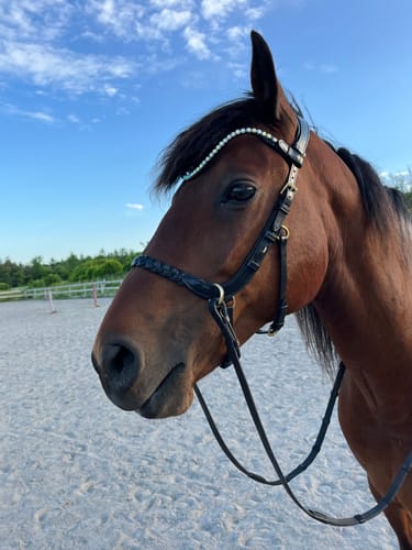 Customer photo review of White rainbow U-shape