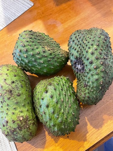 Customer photo review of Soursop