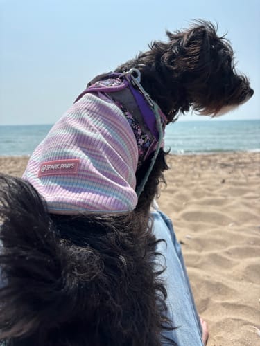Customer photo review of Stripe Shirt - Purple Blue