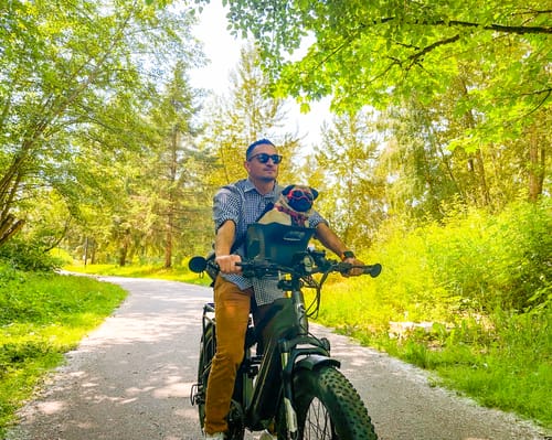 Customer photo review of Kvisp Dog Bike Carrier