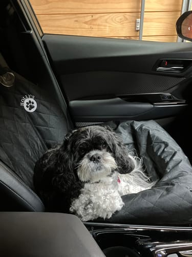 Customer photo review of Car Seat Cover