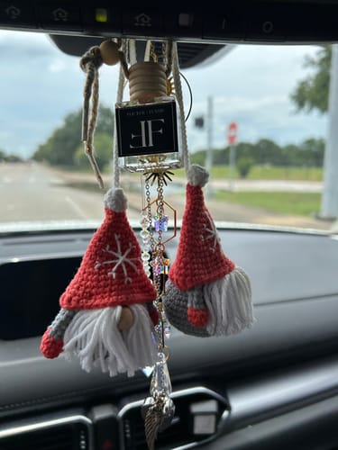 Customer photo review of Diffuser Car Freshener