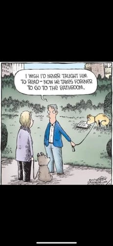 Customer photo review of Mermaid Car Charm