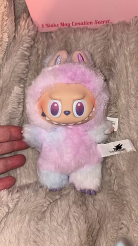 Customer photo review of THE MONSTERS Big into Energy Series-Vinyl Plush Pendant Blind Box