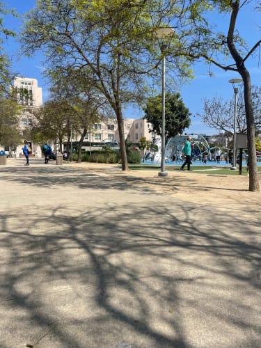 Customer photo review of EasyBreathe Starter Kit