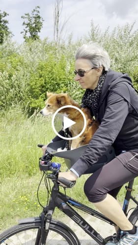Customer video review of Kvisp Dog Bike Carrier