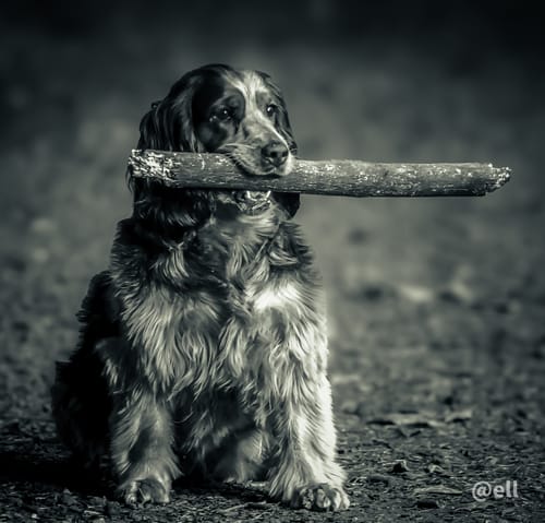 Customer photo review of Mono Land LIMITED Lightroom Presets Pack