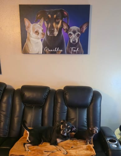 Customer photo review of Custom Pet Portrait - True Form Style